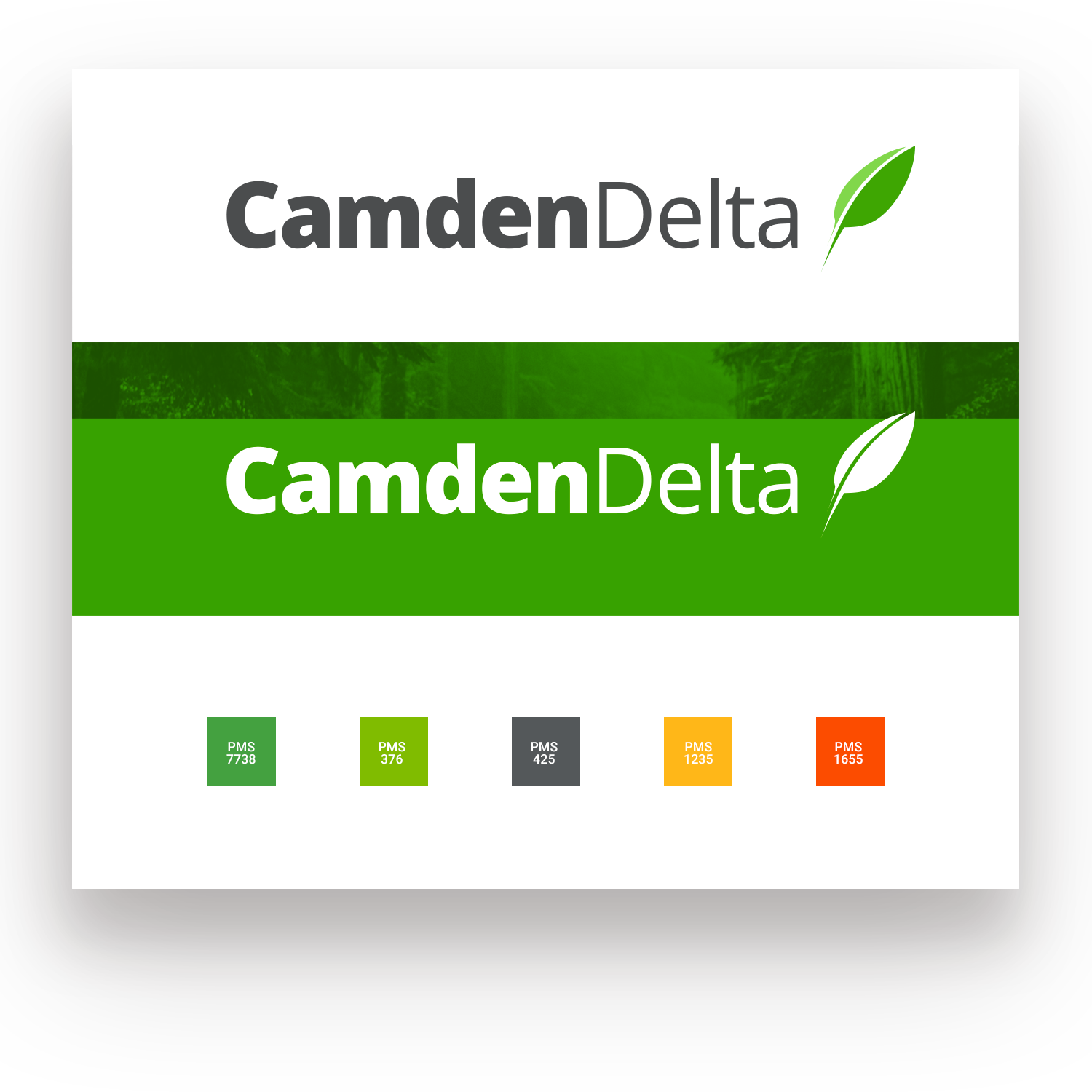 Camden Delta Branding and Colors
